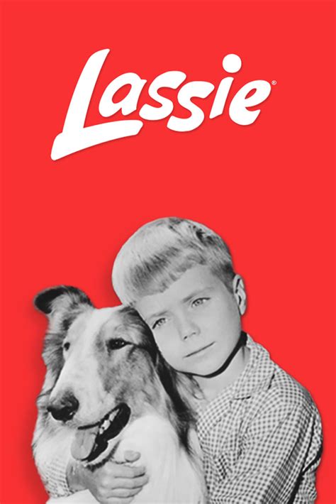 The Timeless Charm: Why Lassie's Spell Never Fades
